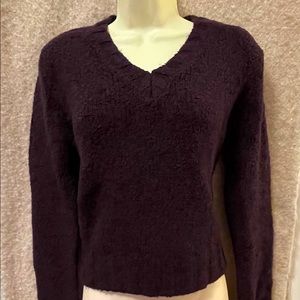 Express Plum Sweater